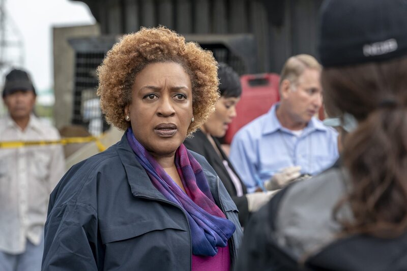 Loretta Wade (CCH Pounder) – Bild: 2018 CBS Broadcasting, Inc. /​ Skip Bolen Lizenzbild frei