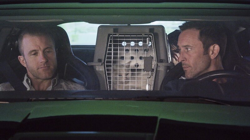 L-R: Danny „Danno“ Williams (Scott Caan), Steve McGarrett (Alex O’Loughlin) – Bild: 2019 CBS Broadcasting, Inc. All Rights Reserved Lizenzbild frei