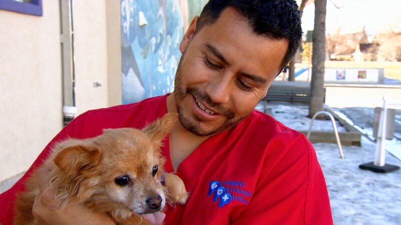 Hector and Noodle – Bild: PLURIMEDIA (Animal Planet)