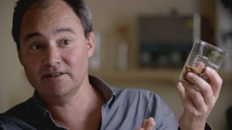 Professor Jose Iriate talks about the natural soils of the Amazon. – Bild: Discovery Communications