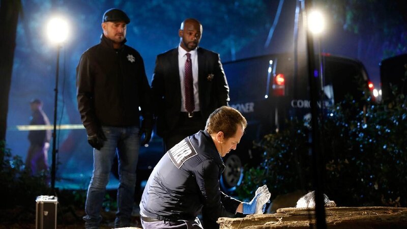 Als abseits eines Wanderweges ein totes, komplett mit Chrom versilbertes Mädchen aufgefunden wird, nehmen Nick Stokes (George Eads, l.) und Detective Kevin Crawford (Alimi Ballard) die Ermittlungen auf und warten auf eine erste Einschätzung des Gerichtsmediziners Dr. David Phillips (David Berman, v.). – Bild: MG RTL D