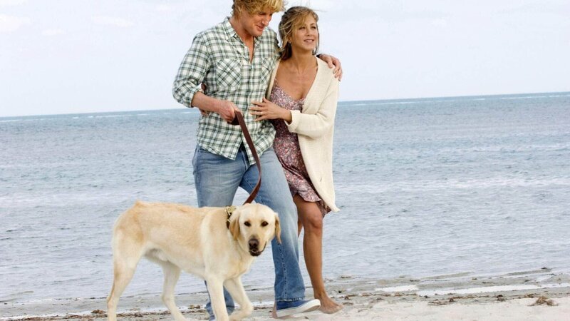 Trotz der Turbulenzen, die der Labrador in Johns (Owen Wilson) und Jennys (Jennifer Aniston) Leben gebracht hat, ist Marley zum unverzichtbaren Mitglied ihrer Familie geworden. – Bild: Foto: RTL Trotz der Turbulenzen, die der Labrador in Johns (Owen Wilson) und Jennys (Jennifer Aniston) Leben gebracht hat, ist Marley zum unverzichtbaren Mitglied ihrer Familie geworden. – Bild: Foto: RTL