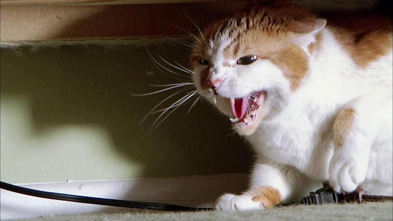 . – Bild: Warner Bros. Discovery