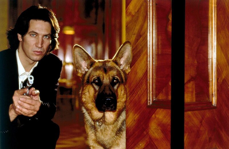 Im Gebüsch der Praterauen wurde die Leiche eines kleinen Mädchens gefunden. Kommissar Moser (Tobias Moretti, l.) und Rex durchsuchen das Haus des Klavierlehrers, bei dem die Tote zuletzt gesehen wurde … – Bild: SAT.1 /​ Ali Schafler Eigenproduktionsbild frei