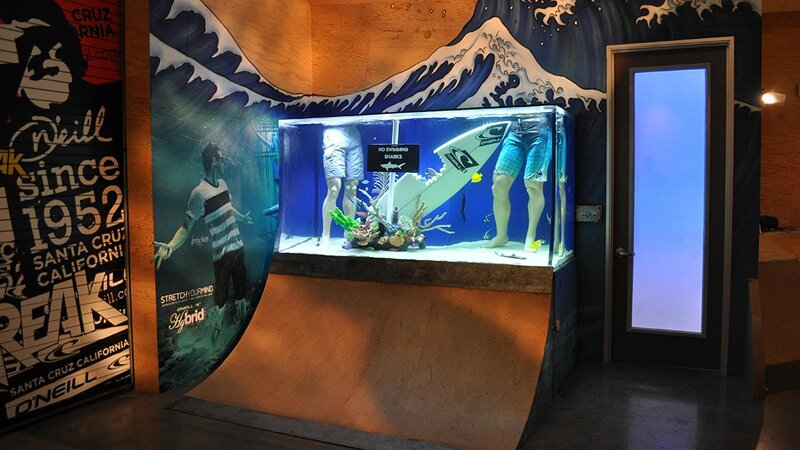 Wideshot of Skatetank. – Bild: For merchandising, publishing & ancillary products, check talent contract, appearance & property releases.