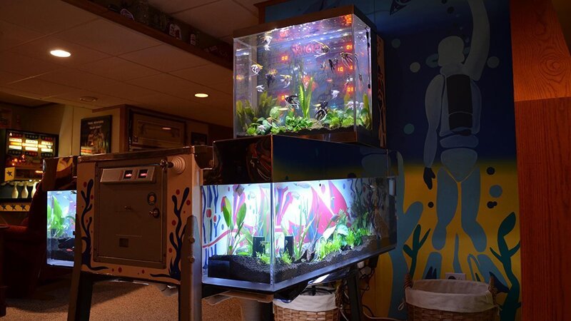 Pinball aquarium. – Bild: For merchandising, publishing & ancillary products, check talent contract, appearance & property releases.