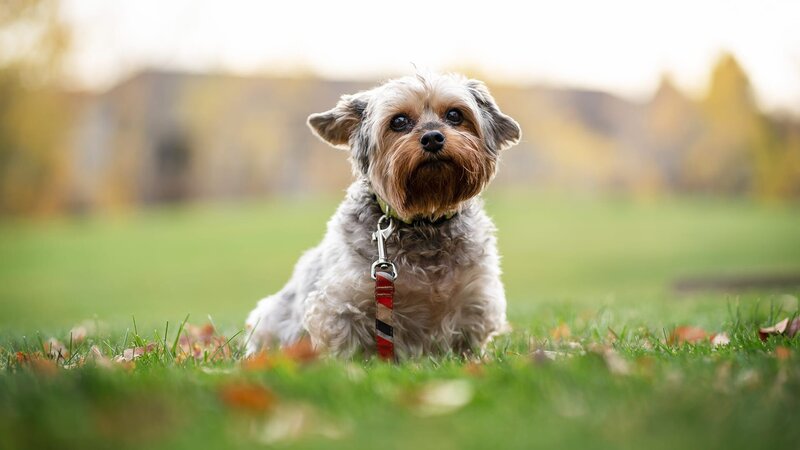 . – Bild: Warner Bros. Discovery