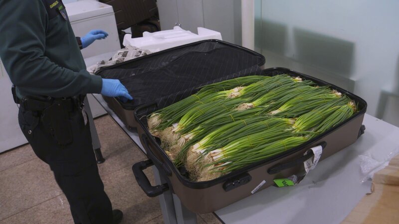 Bild: DMAX Spain. /​ CROPTV; PGM16_ (4).png /​ Discovery Communications, LLC