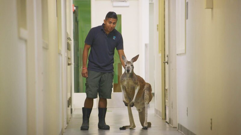 . – Bild: Warner Bros. Discovery