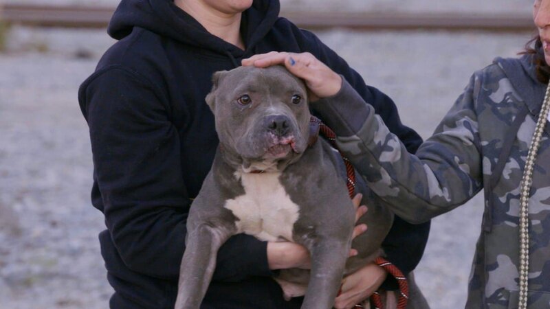 Close-up of Jessica after the rescue. – Bild: Discovery Communications, LLC