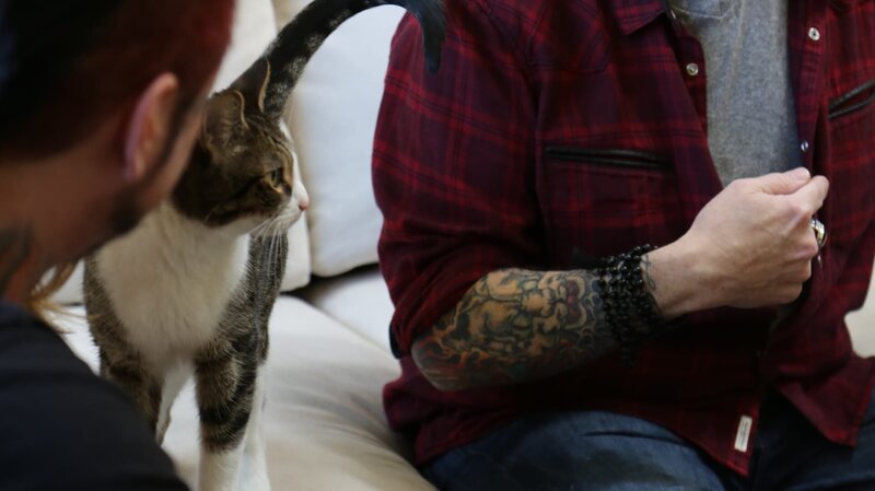 Jackson talks to Jason and Stefanie in the living room with Farnsworth. – Bild: Animal Planet /​ Discovery Communications