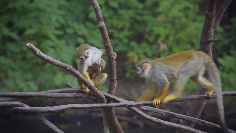 . – Bild: Warner Bros. Discovery