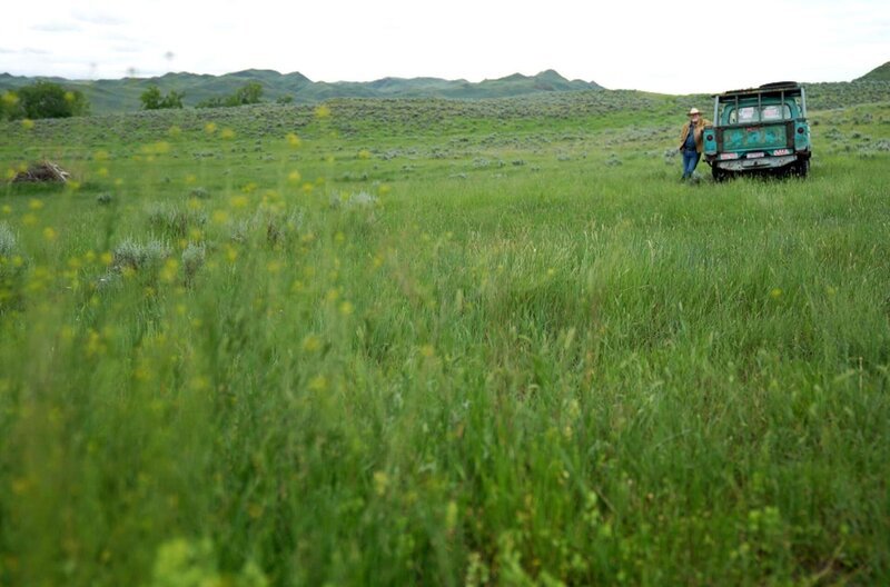 Kein verstaubtes Genre: Craig Johnsons Romanreihe um Sheriff Walt Longmire überzeugt mit einer Stilmischung aus Krimi und Western. – Bild: Elephant Doc
