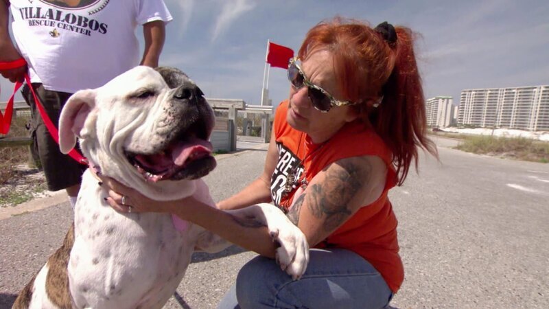 Tia and Cheech at the beach. – Bild: Animal Planet /​ Discovery Communications