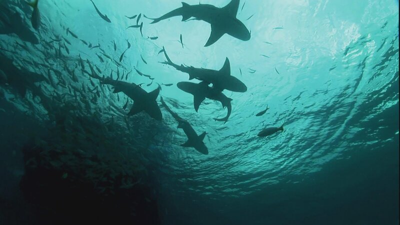 . – Bild: Warner Bros. Discovery