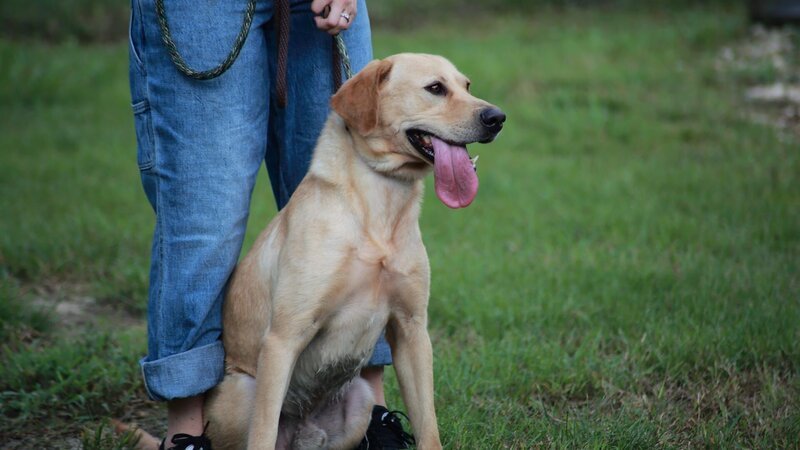 Mariah and Sweetcakes – Bild: Animal Planet /​ Photobank 36793_ep1113_015 /​ Discovery Communications, LLC