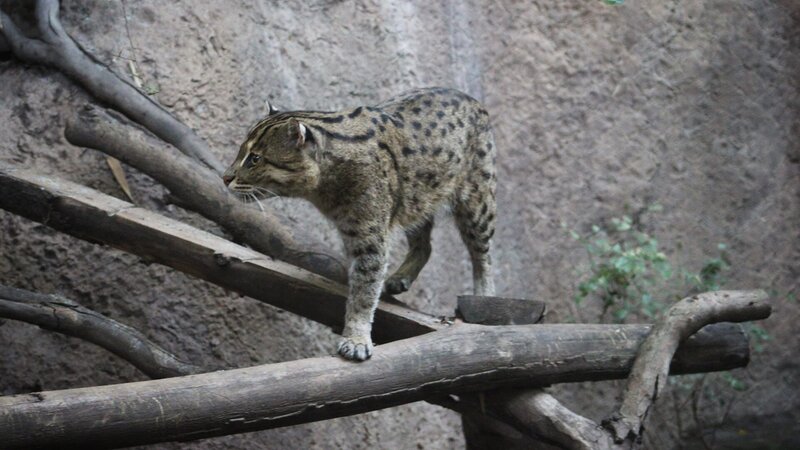 . – Bild: Warner Bros. Discovery