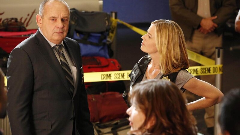 Captain Jim Brass (Paul Guilfoyle) und Julie Finlay (Elisabeth Shue) versuchen zu rekonstruieren, was sich während des Fluges, der nach Landung für eine mutmaßliche Diebin einen tödlichen Ausgang genommen hat, zugetragen hat. – Bild: MG RTL D