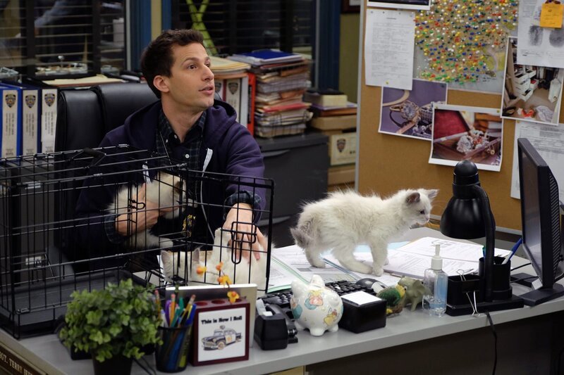 Jake Peralta (Andy Samberg) – Bild: John P. Fleenor /​ UNIVERSAL TELEVISION LLC