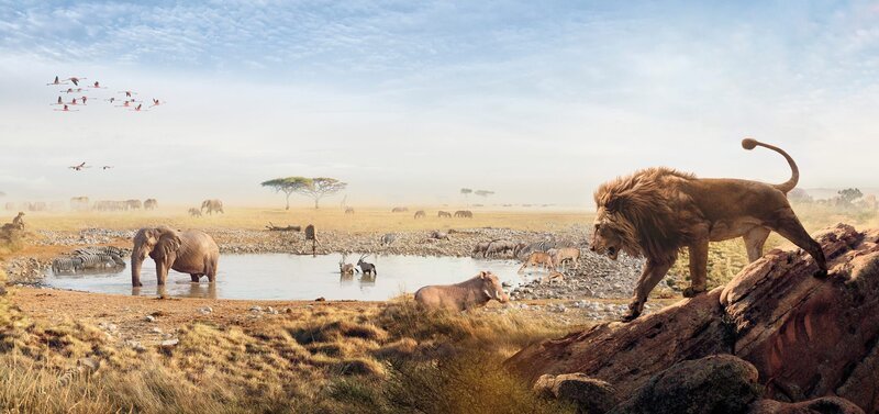 Es wird Zeit, dass die Tiere der Serengeti ihre Geschichte selbst erzählen. – Bild: BBC /​ ZDF