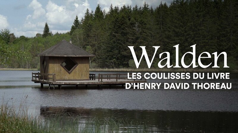 Das Leben in den Wäldern – Bild: Arte