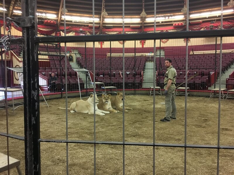 Martin Lacey, Löwenbändiger – Bild: Autentic