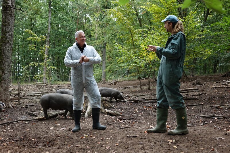 Alexander Herrmann (links) und Züchter Johannes Buchner im Wald bei Oberlaimbach mit Cornwallschweinen. – Bild: Jürgen Endriß /​ BR