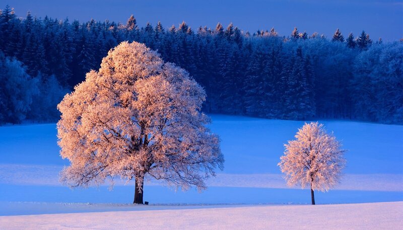 Landschaft im Winter – Bild: BR/​WDR/​Steffen Sailer