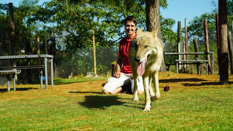 Wolf – Bild: AUTENTIC