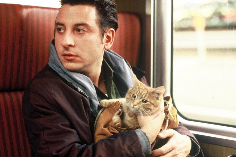 Katzendiebe – Bild: SRF1