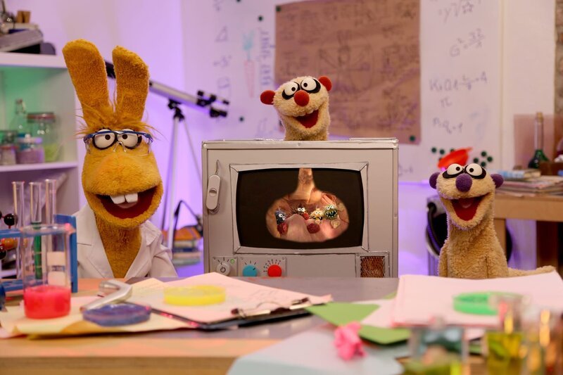Professorin Hase erklärt, wie ein Pups entsteht. – Bild: NDR/​bigSmile