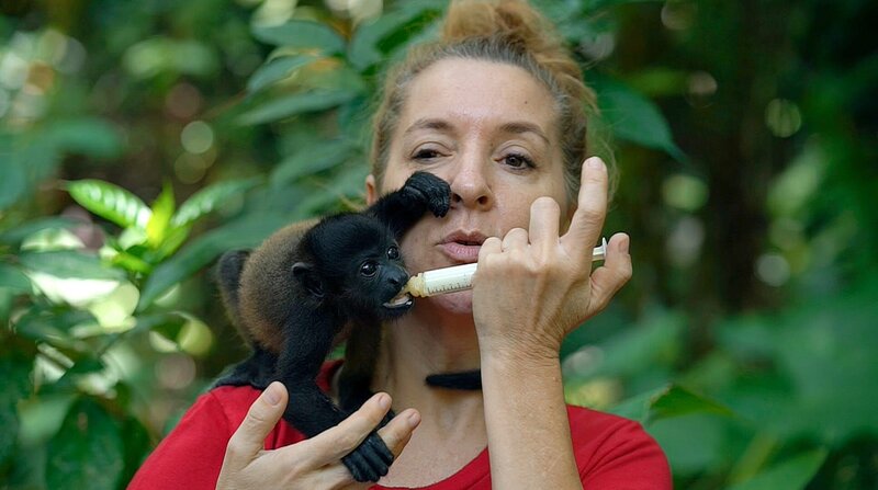 Affenbabys brauchen viel Zuwendung und Liebe, besonders wenn sie ihre Mutter verloren haben. – Bild: NDR/​docstation/​Marco Berger /​ ZDF
