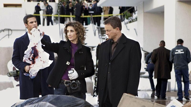 Von links: Detective Don Flack (Eddie Cahill), Detective Stella Bonasera (Melina Kanakaredes) und Detective Mac Taylor (Gary Sinise) untersuchen einen besonders brutalen Mord: Die Leiche eines Mannes wurde zerstückelt und auf verschiedene Müllcontainer verteilt. – Bild: MG RTL D /​ CBS