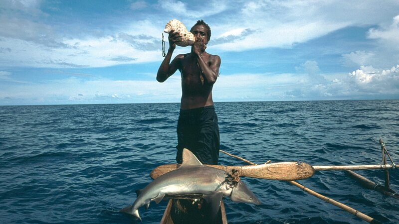 Bild: CuriosityStream