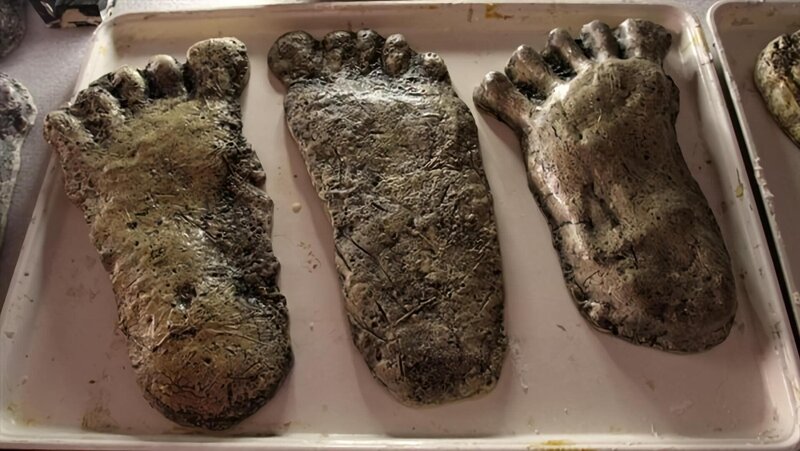 Abenteurer Gerry Moffatt von den eisbedeckten Tälern des Himalaya, wo der legendäre Yeti hausen soll, führt ihn seine Suche rund um die Welt bis in die Wildnis Nordamerikas, in die Heimat des ebenso häufig gesichteten wie letztlich unauffindbaren Bigfoot. – Bild: National Geographic Channel