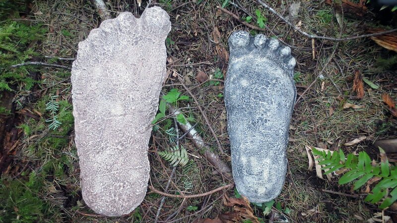 Bild: AETN /​ © A&E Television Networks 1996⁠–⁠2020. All rights reserved.