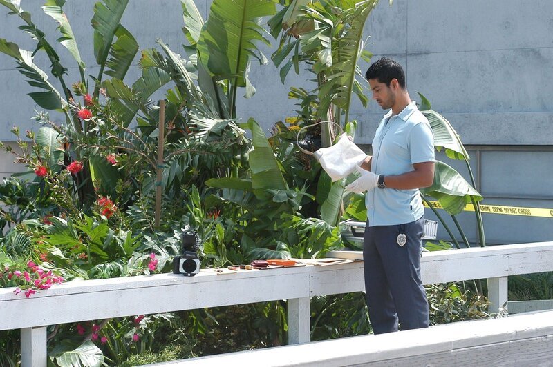 Eine junge Frau wird im Park erwürgt aufgefunden. Eric Delko (Adam Rodriguez) übernimmt die Ermittlungen … – Bild: SUPER RTL