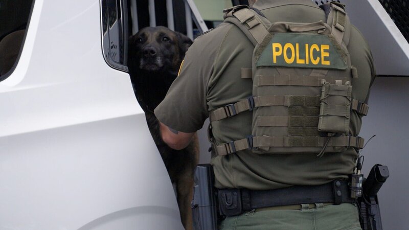 A CBP officer examines dates found in a shipment for agriculture violations in Miami. (National Geographic) – Bild: Disney