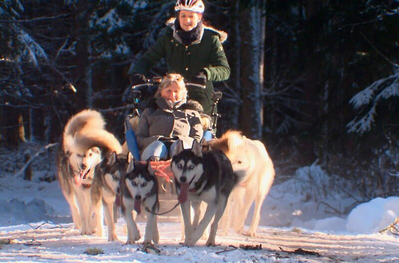  Hundeschlitten : Einfach traumhaft – eine Schlittenhundefahrt im Schwarzwald – Bild: SWR