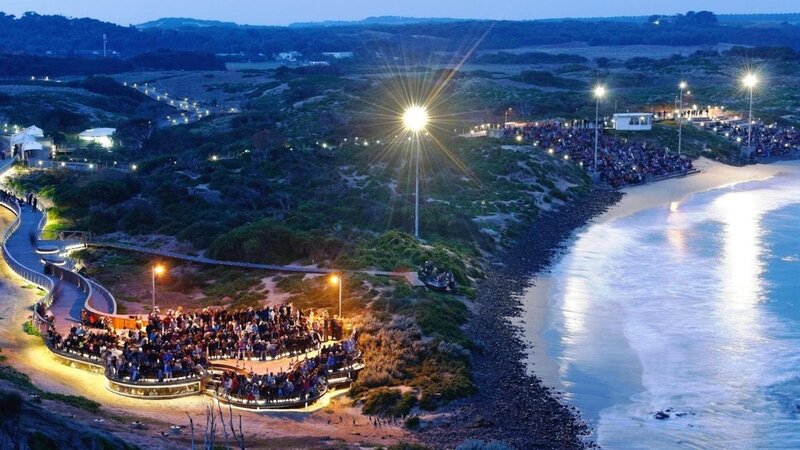 Das allabendliche Pinguin-Spektakel auf Phillip Island – Bild: Curiosity Channel