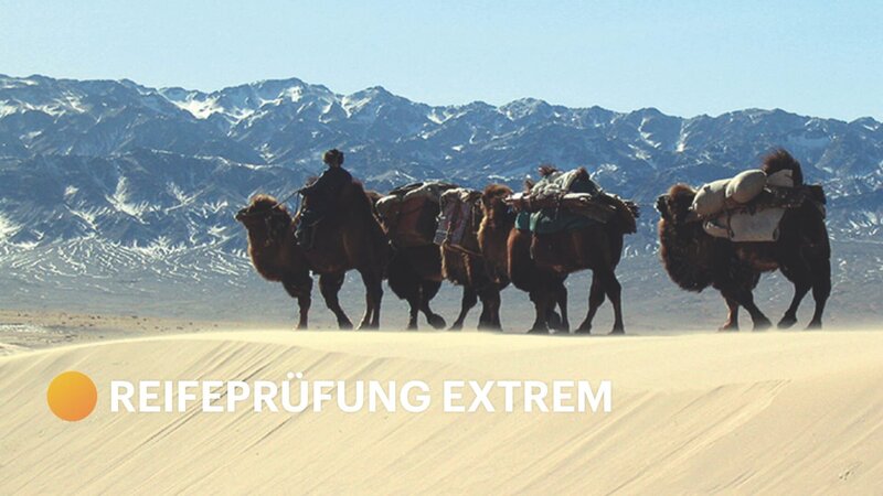 Bild: CuriosityStream