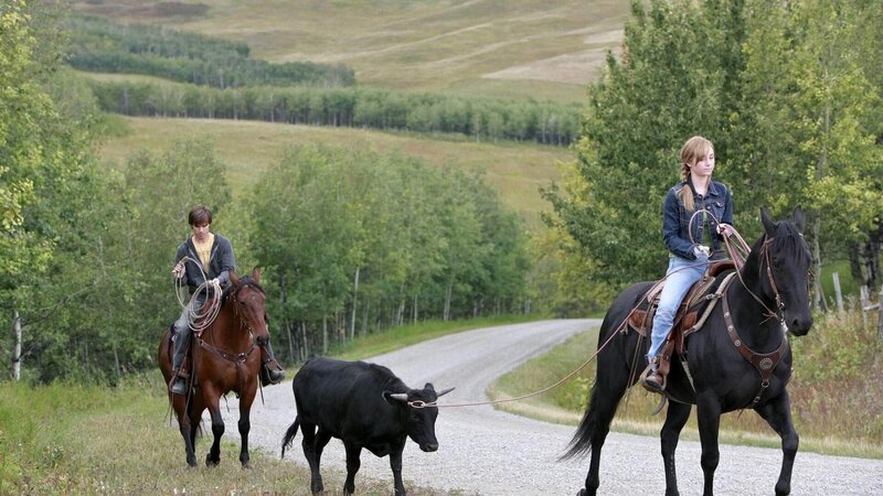 Als Amy (Amber Marshall) ein ausgebrochenes Rind zu seinem Besitzer zurückbringt, will sie sich von Ty (Graham Wardle) nicht helfen lassen. – Bild: MG RTL D