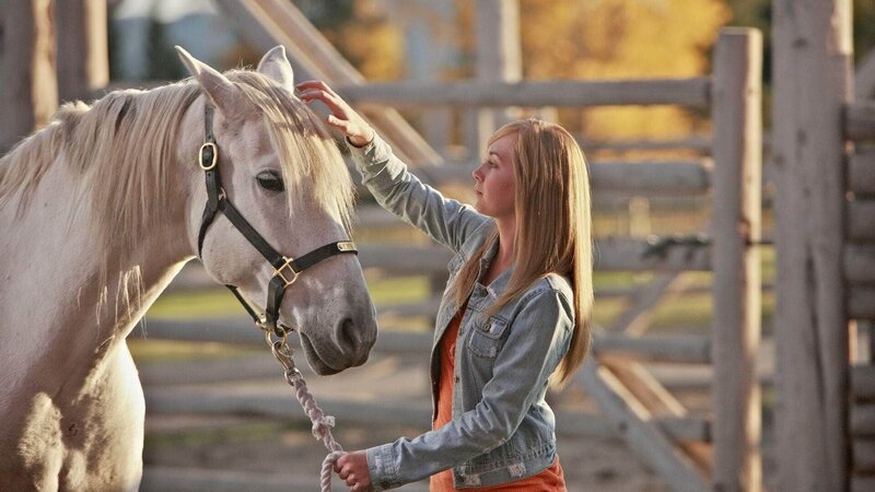 Amy (Amber Marshall) arbeitet mit Lisas verwöhnter Andalusierstute – Bild: MG RTL D