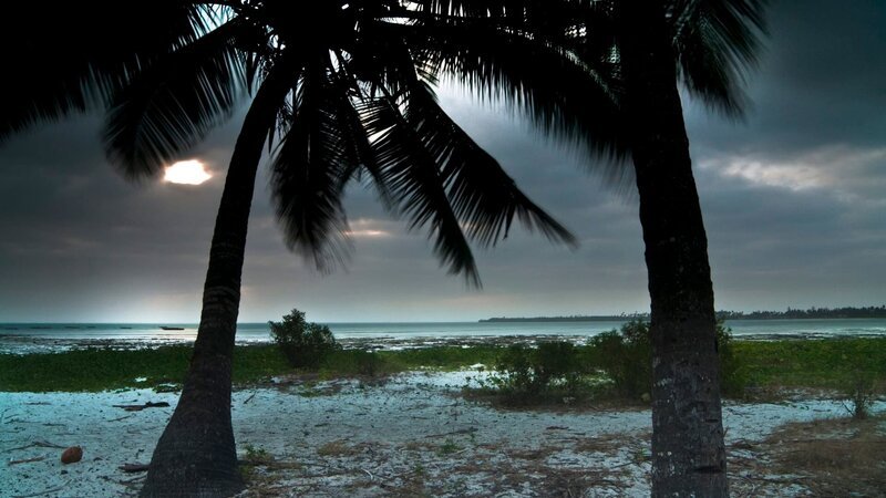 Impressionen von Sansibar – Bild: Animal Planet /​ Discovery Networks