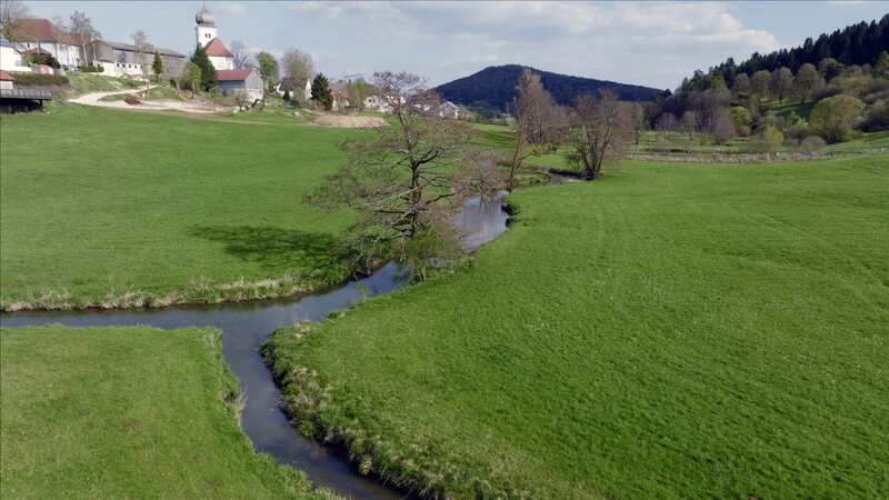 Langsamer Wasserabfluss und wasserstauende Tonschichten im Untergrund haben das einmalige, sieben Kilometer lange Deusmauer Moor entstehen lassen. Besonders typisch sind hier die orchideenreichen Feuchtflächen. – Bild: Marion Pöllmann /​ BR, Blue Paw Artists