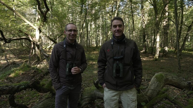 Gilberto Pasinelli von der Vogelwarte Sempach und Matthias Griesser von BirdLife Zürich auf der Suche nach dem Mittelspecht. – Bild: ZDF und SRF