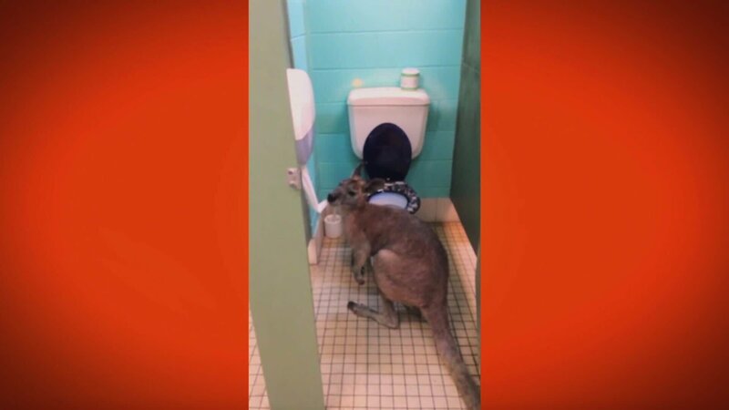 Bild: Comedy Central