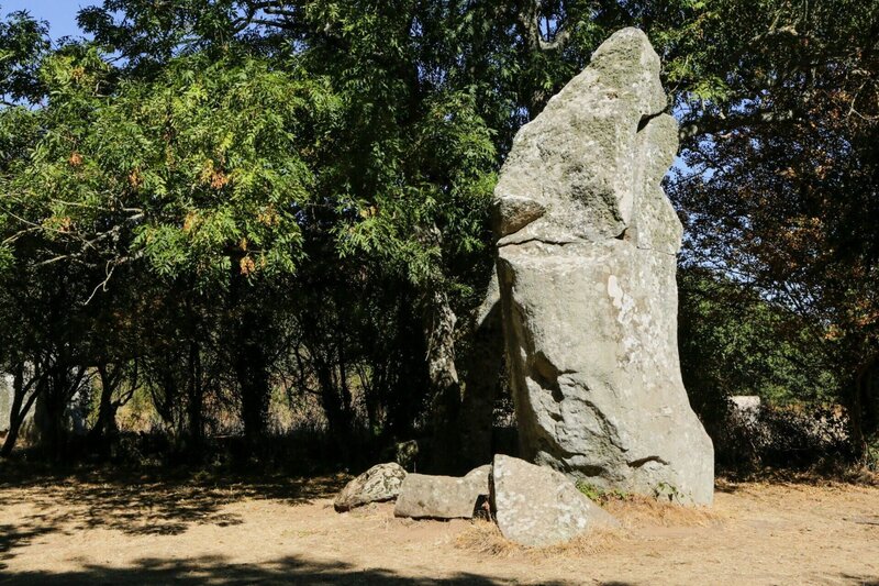 Gestein    +++ – Bild: RTL /​ WAGTV /​ Folge 19