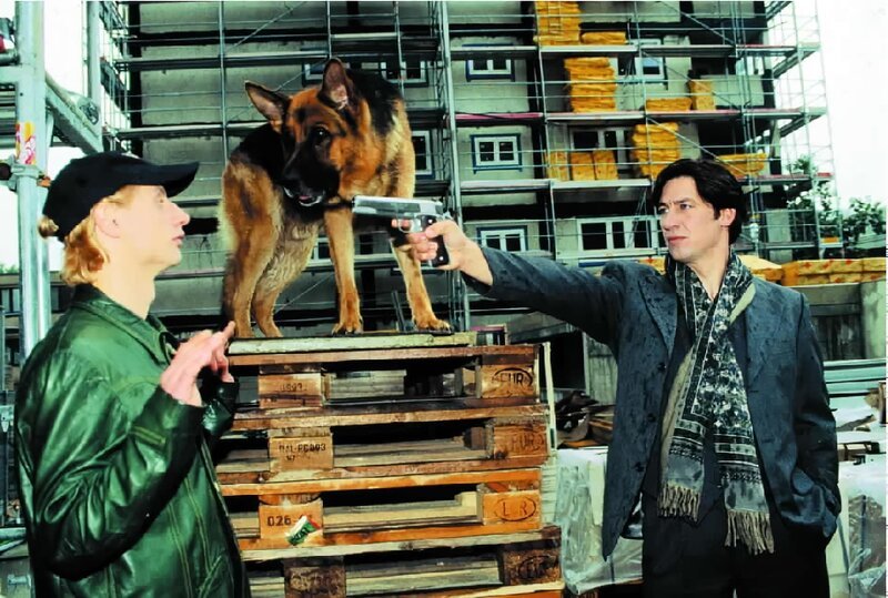 Kommissar Moser (Tobias Moretti, r.) und Rex stellen den Killer Kiprov (Victor Schefé, l.) … – Bild: Sat.1 Emotions