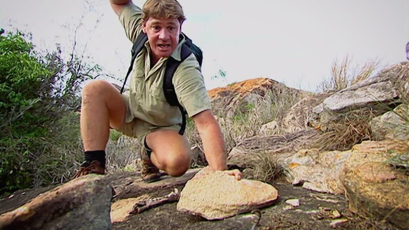 Steve Irwin. – Bild: Animal Planet Steve Irwin. – Bild: Animal Planet